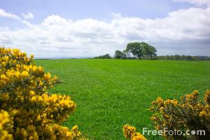 http://d34kr5jvxlwc7m.cloudfront.net/agricolturaonweb/materiali/ArticoliThumb/campagna-freefoto.jpg