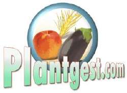 Logo_PlantGestCom_250.jpg