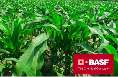 basf-retengo-plus-mais.jpg