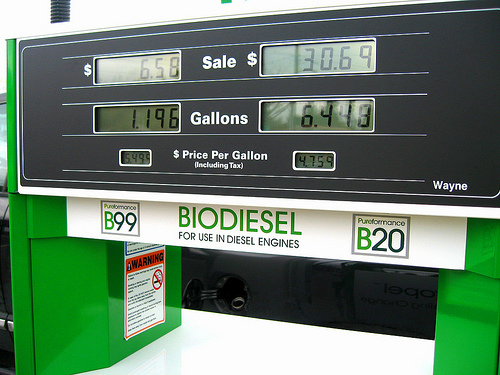biodiesel-by-skidrd.jpg