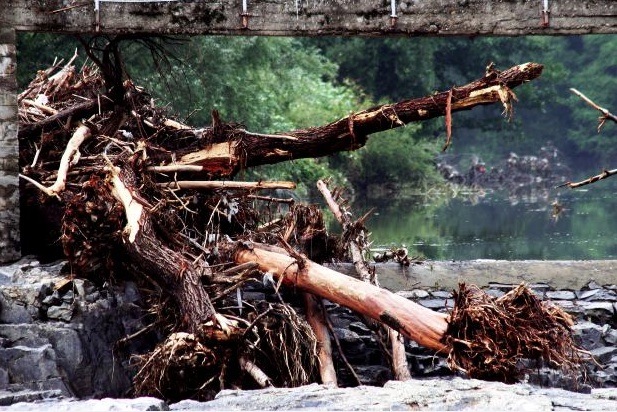 frana-alluvione-floodcn-7712-morguefile-clarita.jpg