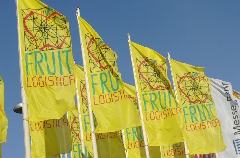 fruilogistica-bandiere-nov-2011.jpg