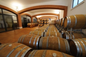 barricaia
