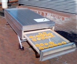 cra-tuttofood2013-essiccatore-energia-solare