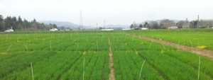 eurochem-agro-entec-26