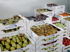 frutta-bestack1