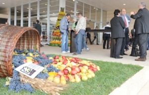 macfrut-ortofrutta-fiera
