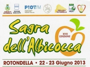 sagra-albicocca-2013
