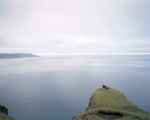 syngenta-concorso-photography-award-vincitore-ian-brykczynski