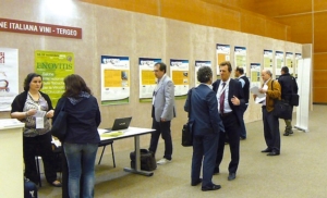 tergeo-enoforum-2013