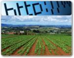 Agricoltura-Internet-20070308