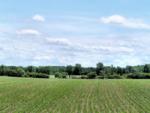 Agricoltura_5