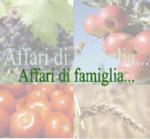 affari-di-famiglia-logo