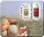caprara-melone-cocomero
