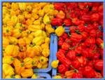 peperone-giallo-rosso-byflickrcc20-David-Evers
