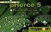 tradecorp-pHorce5-correttore-speciale