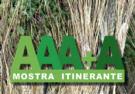 aaa1