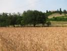 agricoltura_biodinamica