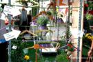 festival_verde_paesaggio2-copia