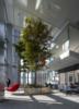 indoorlandscaping
